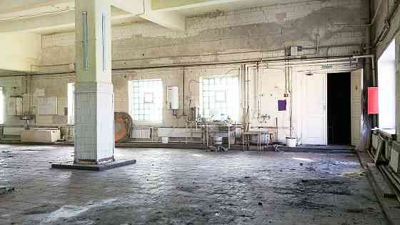 Промздание 2366 м2 + 1,35 га в центре Луги — всего 35 млн.руб. Луга