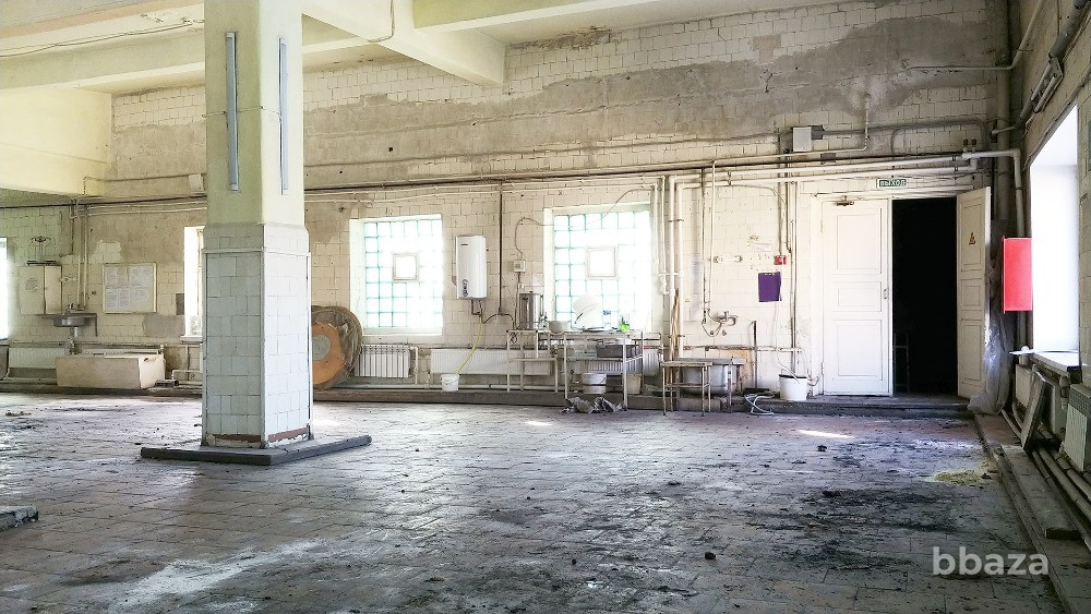 Промздание 2366 м2 + 1,35 га в центре Луги — всего 35 млн.руб. Луга - изображение 3