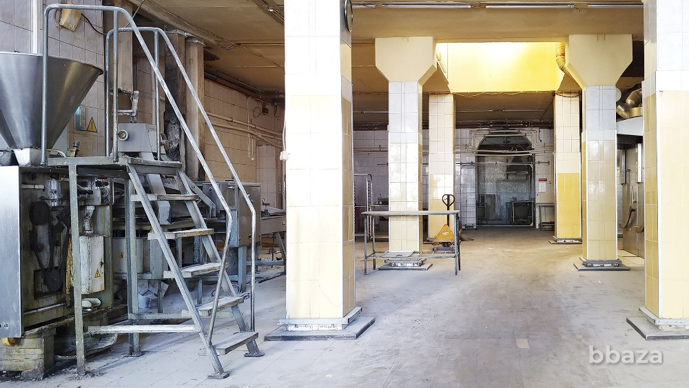 Промздание 2366 м2 + 1,35 га в центре Луги — всего 35 млн.руб. Луга - изображение 2