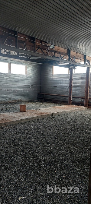 Продам или сдам в аренду участок промышленного назначения Богучаны - изображение 8