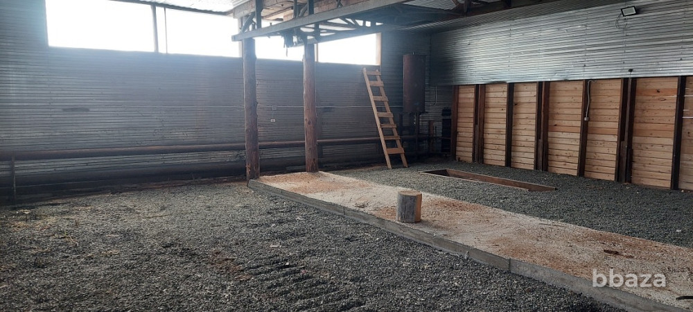 Продам или сдам в аренду участок промышленного назначения Богучаны - изображение 9