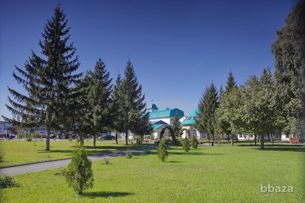 Офис в аренду Новосибирск - изображение 6