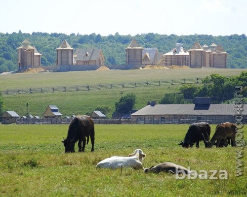 земля ижс в лесу у реки дон под комплексную застройку Москва - изображение 6