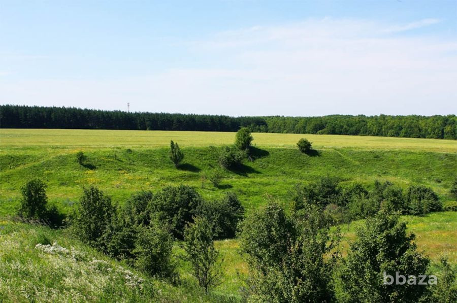 земля ижс в лесу у реки дон под комплексную застройку Москва - изображение 10