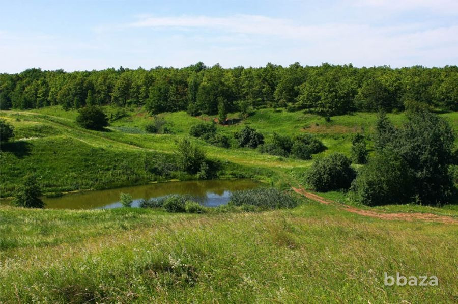 земля ижс в лесу у реки дон под комплексную застройку Москва - изображение 8