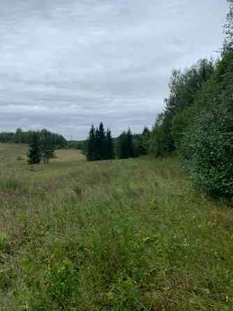 Продаю землю 1,96 га для строительства жилых домов Выборг