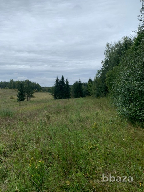 Продаю землю 1,96 га для строительства жилых домов Выборг - изображение 1