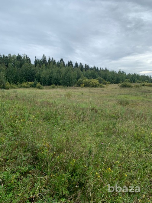 Продаю землю 1,96 га для строительства жилых домов Выборг - изображение 2