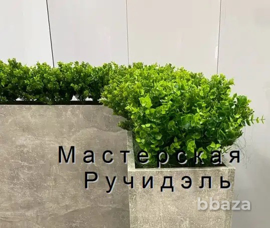 Кашпо-перегородка для офиса или кафе Москва - изображение 5