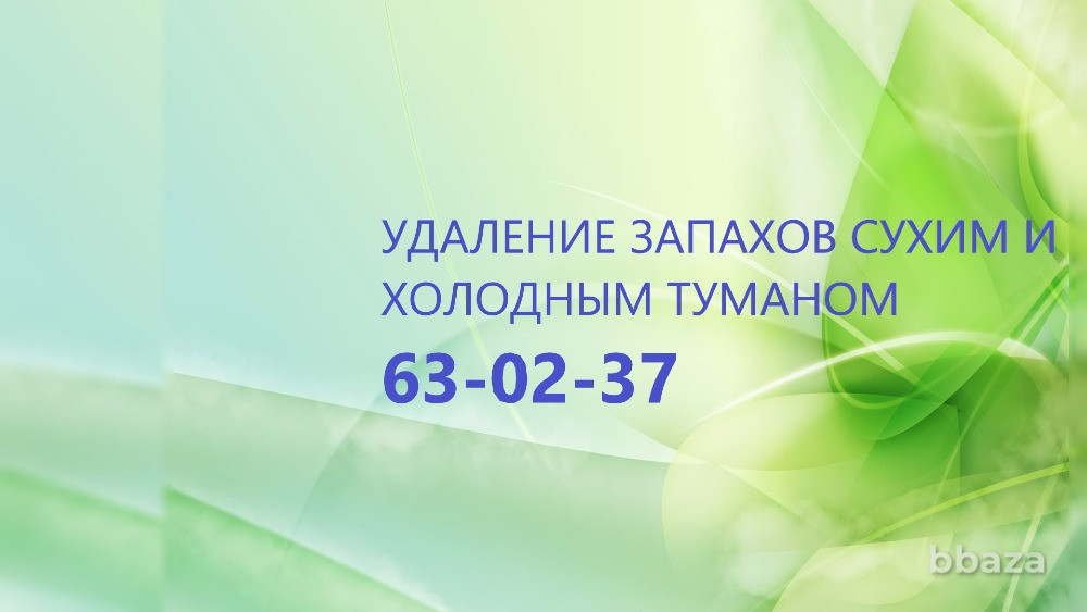 Удаление неприятного запаха. Орел - изображение 1