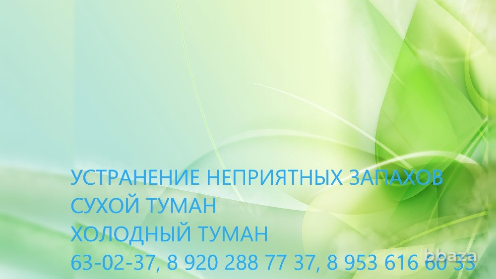 Удаление неприятного запаха. Орел - изображение 4