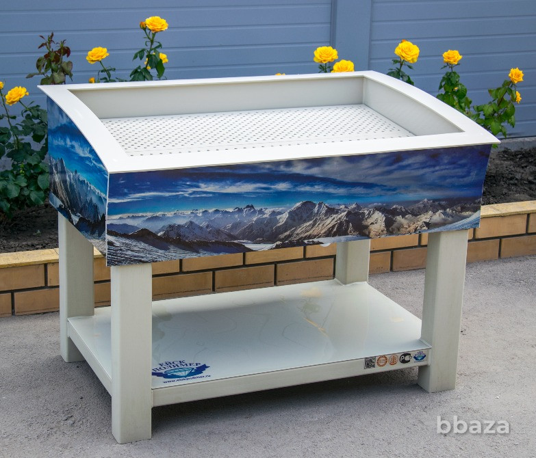 Торговые витрины для морепродуктов Ейск - изображение 5