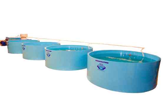 Модули для передержки морепродуктов Ейск