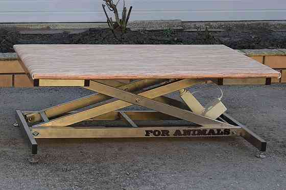 Стол для ветеринаров и грумеров с подъемным механизмом Ейск