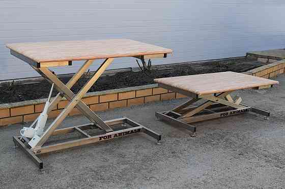 Стол для ветеринаров и грумеров с подъемным механизмом Ейск