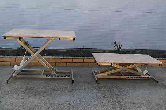 Стол для ветеринаров и грумеров с подъемным механизмом Ейск