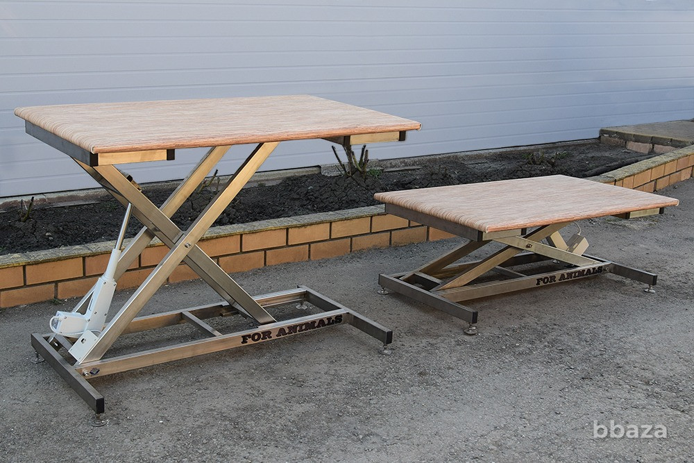 Стол для ветеринаров и грумеров с подъемным механизмом Ейск - изображение 1