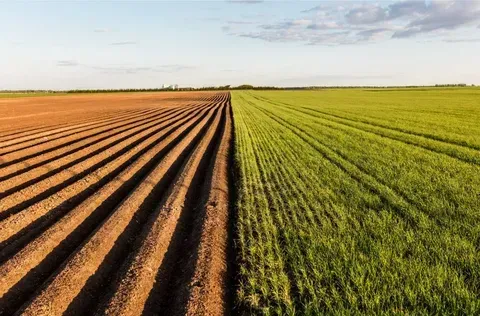 Сельхоз земля озимые и зябь под парами Ростов-на-Дону