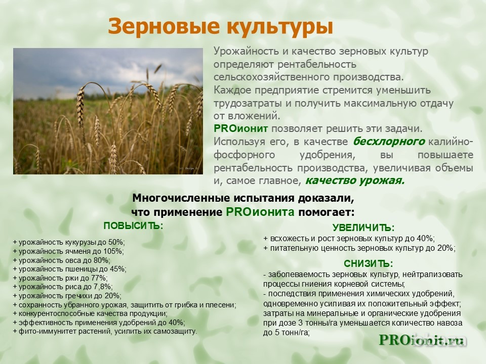 PROионит PROionit Кондиционер почв с Микроэлементами Сочи - изображение 5