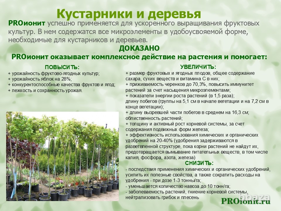 PROионит PROionit Кондиционер почв с Микроэлементами Сочи - изображение 6