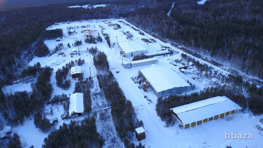 Продается действующий деревообрабатывающий завод Богучаны - изображение 3