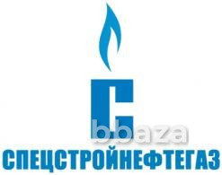 Плунжерный насос G-SGUN-C Алматы - изображение 1