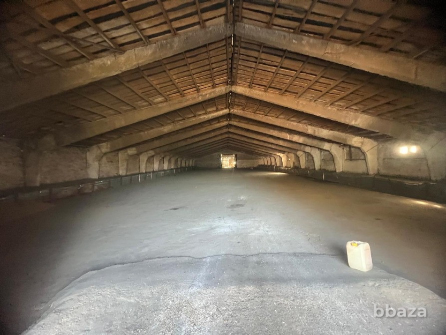 Крепкое Хозяйство Саранск - изображение 2