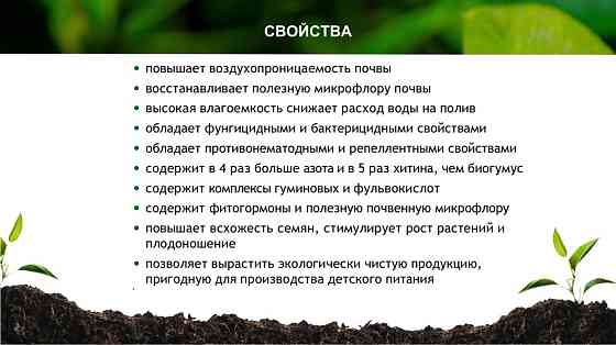 Зоогумус «Львинка» Почвенный кондиционер пролонгированного действия Сочи