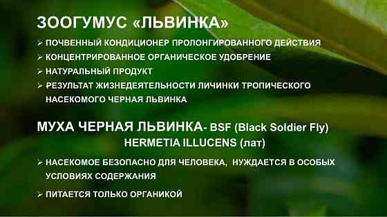 Зоогумус «Львинка» Почвенный кондиционер пролонгированного действия Сочи