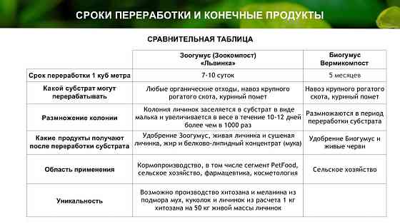 Зоогумус «Львинка» Почвенный кондиционер пролонгированного действия Сочи