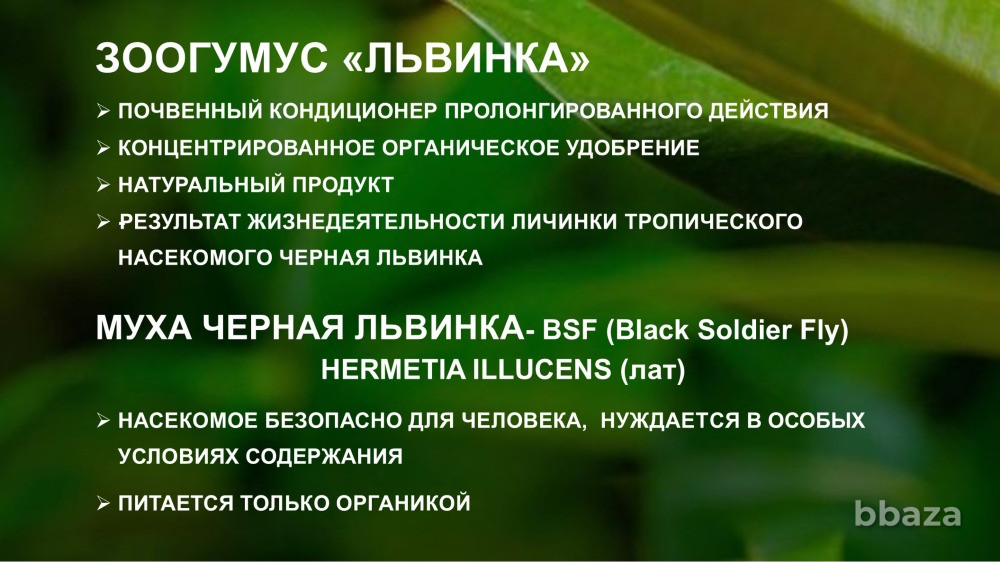 Зоогумус «Львинка» Почвенный кондиционер пролонгированного действия Сочи - изображение 1