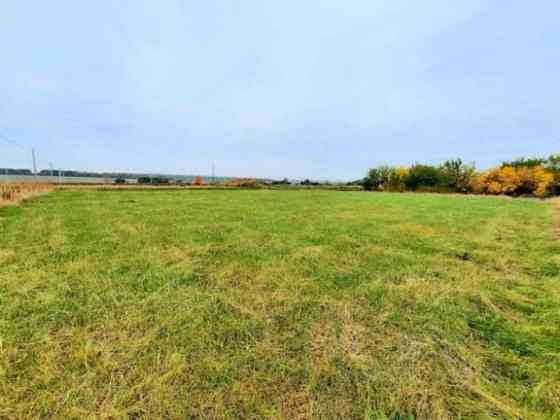 Участок 45 Га в Бессоновском районе Пенза