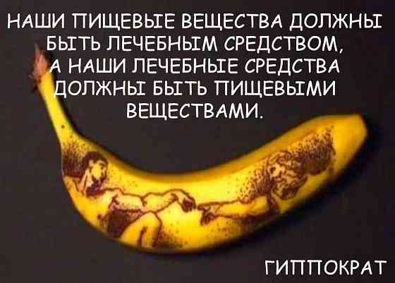 Приглашаем инвесторов к участию в новом проекте "Субтропики России" Сочи