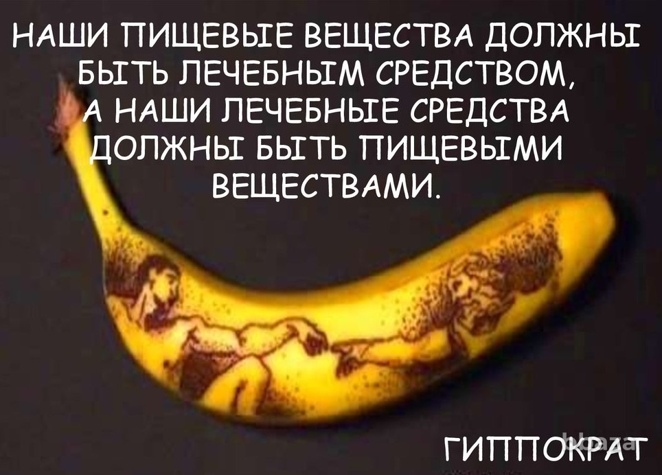 Приглашаем инвесторов к участию в новом проекте "Субтропики России" Сочи - изображение 1