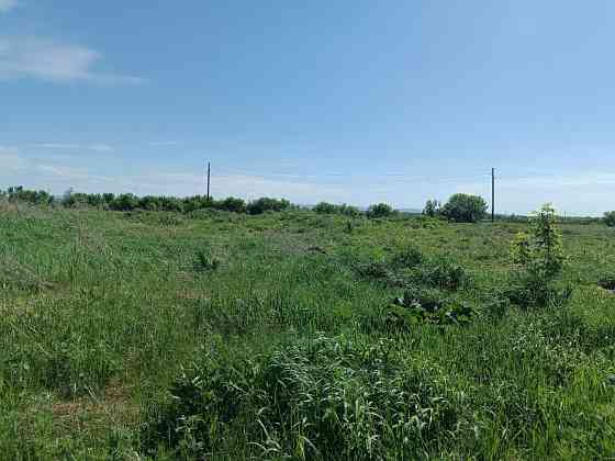 Животноводческий комплекс Белокуриха