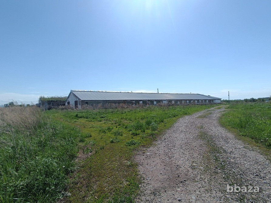 Животноводческий комплекс Белокуриха - изображение 1