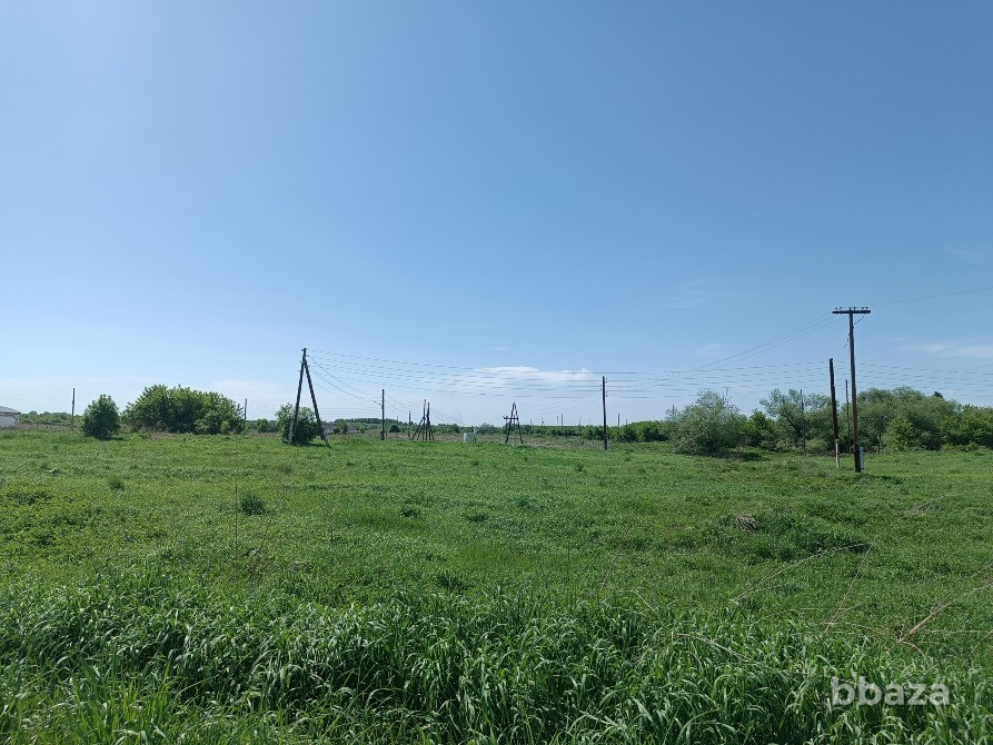 Животноводческий комплекс Белокуриха - изображение 5