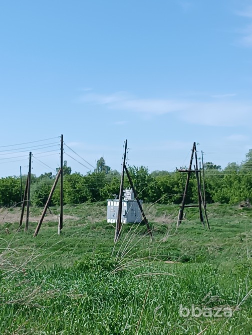 Животноводческий комплекс Белокуриха - изображение 2