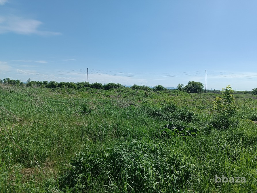 Животноводческий комплекс Белокуриха - изображение 3