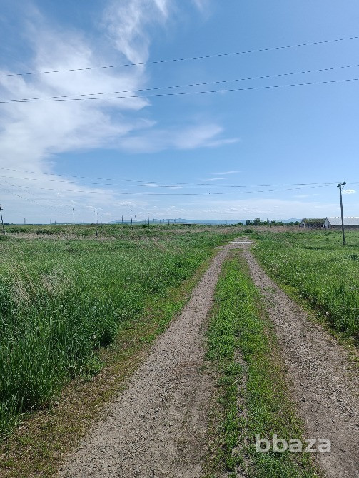 Животноводческий комплекс Белокуриха - изображение 6