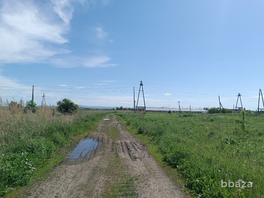 Животноводческий комплекс Белокуриха - изображение 7