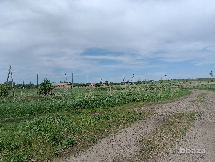 Животноводческий комплекс Белокуриха - изображение 4