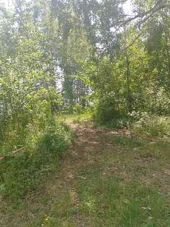 Земля Рекреации 12,5 Га на берегу Волчихинского водохранилища. Екатеринбург