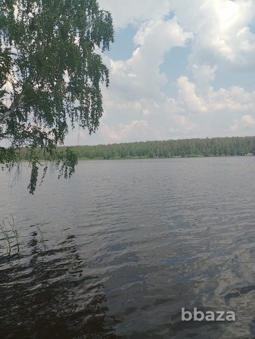 Земля Рекреации 12,5 Га на берегу Волчихинского водохранилища. Екатеринбург - изображение 5
