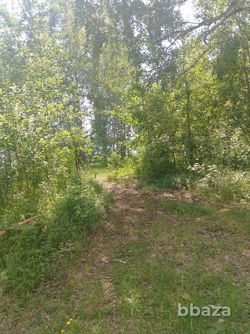 Земля Рекреации 12,5 Га на берегу Волчихинского водохранилища. Екатеринбург - изображение 2