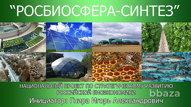 Национальный проект по стратегическому развитию биоэкономики России Москва - изображение 1