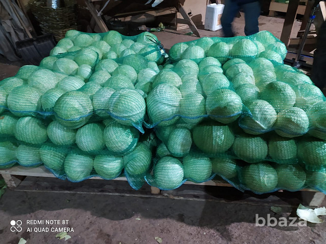 Инвестиции в оптовую торговлю Овощи -Ягоды Москва - изображение 1