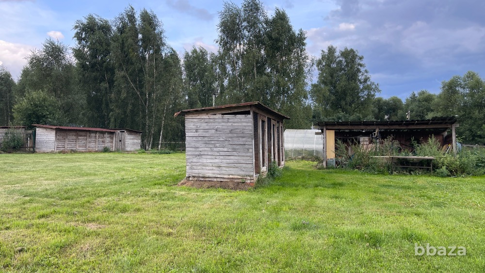 Передержка/гостиница/ферма для животных Москва - изображение 8