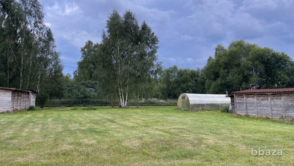 Передержка/гостиница/ферма для животных Москва - изображение 7