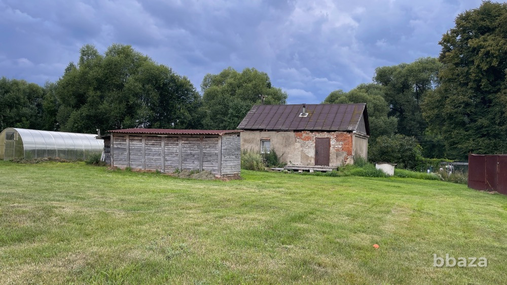 Передержка/гостиница/ферма для животных Москва - изображение 6